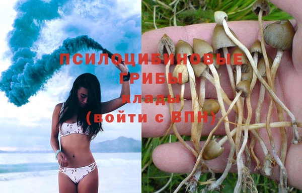 СК Алексеевка