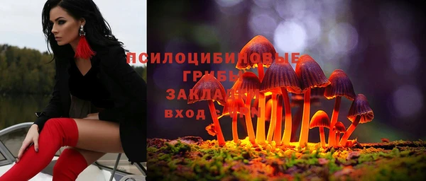 СК Алексеевка