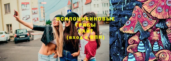 кокс Алексин