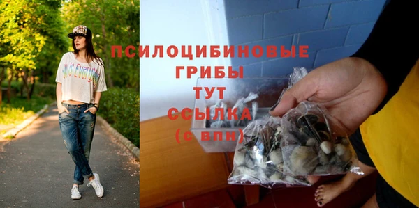 СК Алексеевка