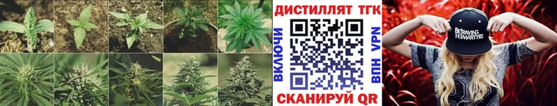 где продают   сайты даркнета наркотические препараты  ТГК вейп с тгк  Бирск 