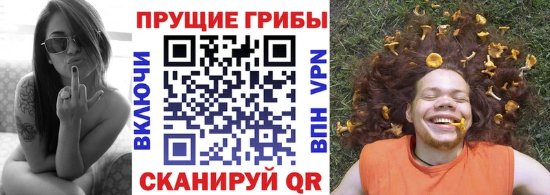 Псилоцибиновые грибы мицелий  Бирск 
