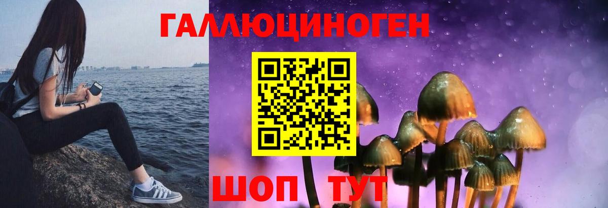 Псилоцибиновые грибы Magic Shrooms  Вход с VPN  Бирск  Псилоцибиновые грибы Cubensis 